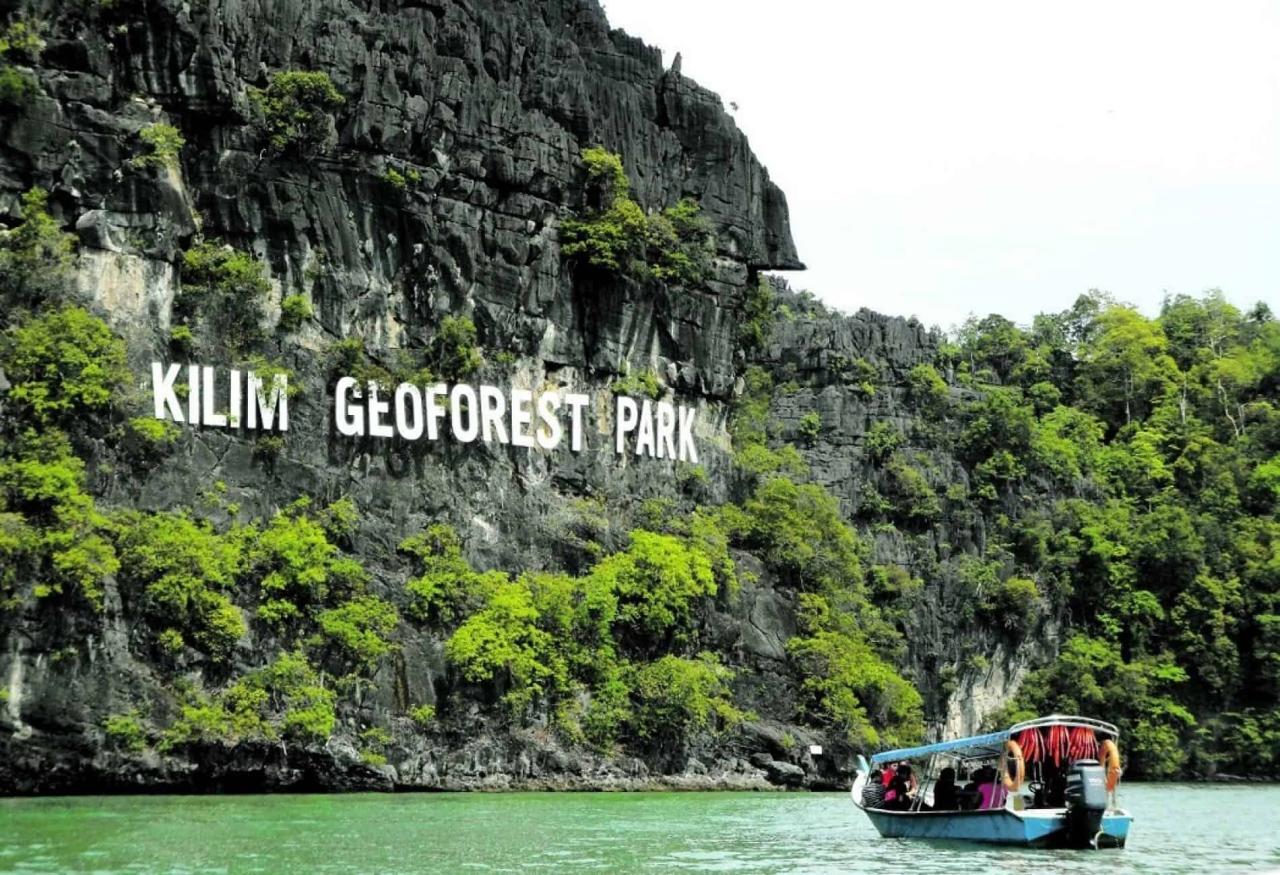 Jelajahi Ekosistem Unik Mangrove Tour Langkawi