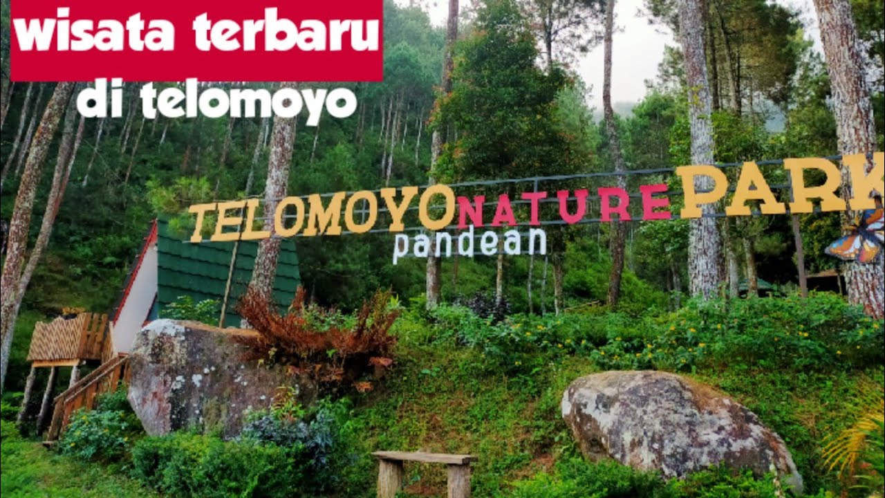 Jelajahi Keindahan Alam di Telomoyo Nature Park